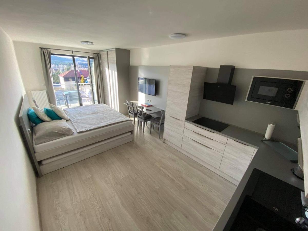 Apartman Denisa Lipno nad Vltavou Buitenkant foto