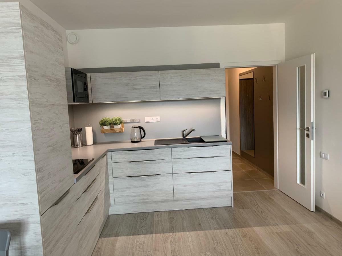 Apartman Denisa Lipno nad Vltavou Buitenkant foto