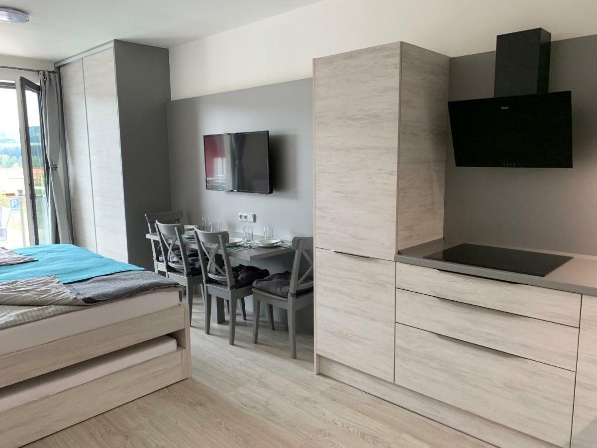 Apartman Denisa Lipno nad Vltavou Buitenkant foto
