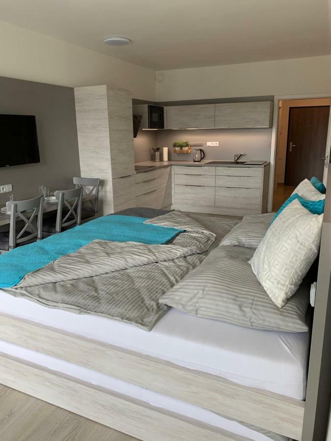 Apartman Denisa Lipno nad Vltavou Buitenkant foto