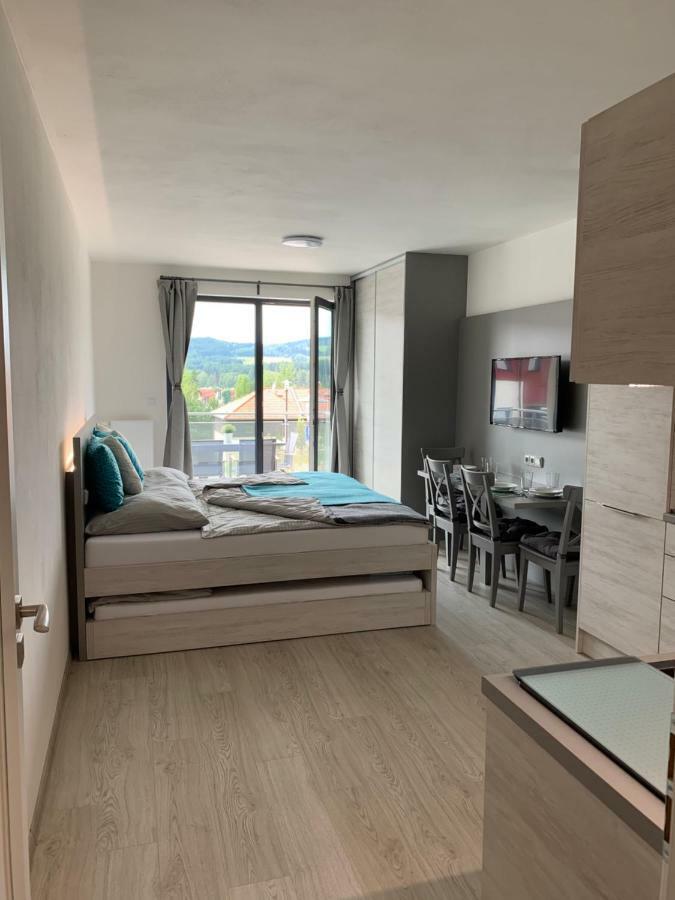Apartman Denisa Lipno nad Vltavou Buitenkant foto