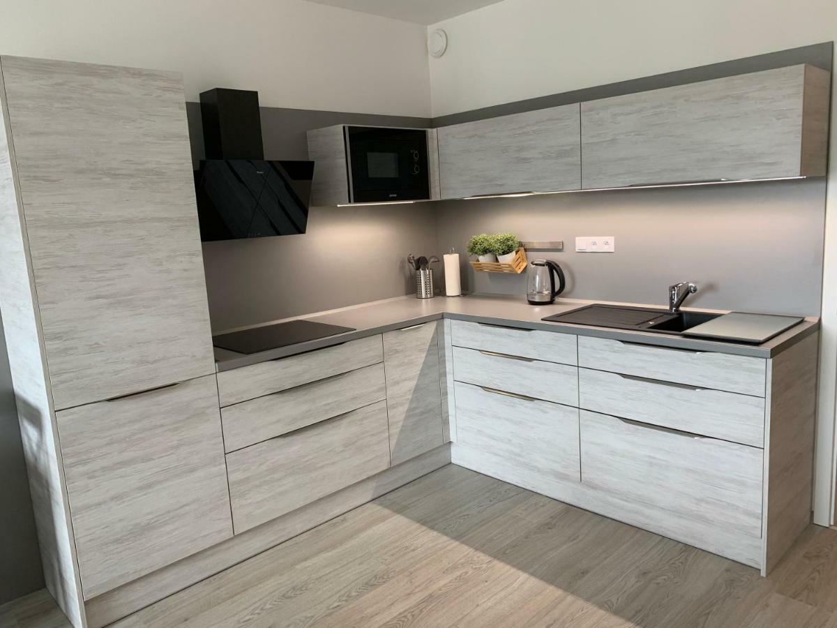 Apartman Denisa Lipno nad Vltavou Buitenkant foto